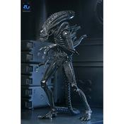 Aliens Ultimate Warrior Xenomorph NECA Figure - Blue Warrior