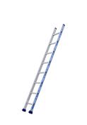Tubesca Platinium Single Section Ladder 2.41m