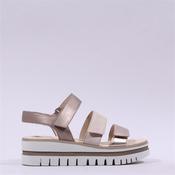 Gabor Alfa Triple Velcro Platform Sandal - Beige Metallic - 5.5 image