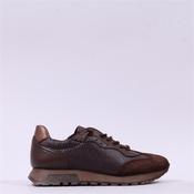 Hispanitas Oregan Bungee Lace Trainer - Espresso Leather - 36 image