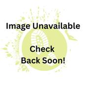 Tommy Bowe Simonds Laced Shoe - Black - 44 image