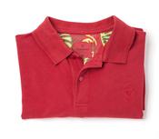 Men's Cotton Polo Shirt (3025) Summer Red image