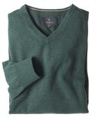 Men's Fine Gauge Cotton V-Neck Jumper (4200) Horticool image