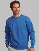 Men's Premium Crew Neck Top (4801) Winter Blue image