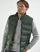 Mens Padded Gilet (3063) Green - by Vedoneire of Ireland - puffy puffa vest image