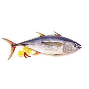 (Fresh) Tuna  - 1Kg