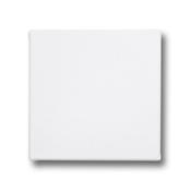 Canvas (15 x 15cm) - White