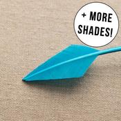Arrowhead Quill Feathers image