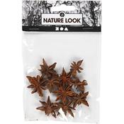 Star Anise (10pcs)