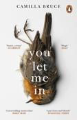 You Let Me In by Camilla Bruce image