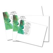Winsor &amp; Newton Artists' Canvas Board (16" x 12")