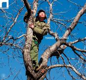Yang Fudong by Marcella Beccaria image