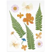 Pressed Flowers (13pcs) - Violet/Orange image