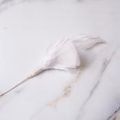 Feather Mount - Goose/Stripped Rooster image
