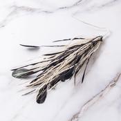 Feather Mount - Natural &amp; Black image