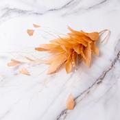 Feather Mount - Rooster/Ostrich/Goose