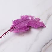 Ostrich Arrow Quill