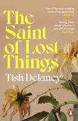 The Saint of Lost Things by Tish Delaney image