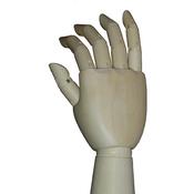 Wooden Hand