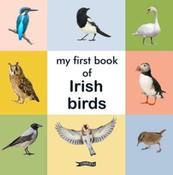 My First Book of Irish Birds image
