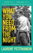 What You Need From The Night by Laurent Petitmangin image