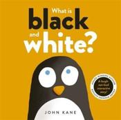 What is Black and White? by John Kane image