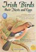 Irish Birds: Their Nests and Eggs by Christy Dorgan