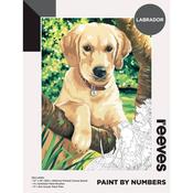 Paint by Numbers (12" x 16") - Labrador