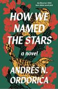 How We Named the Stars by Andres N. Ordorica