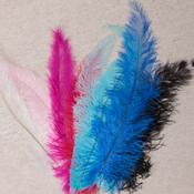 Ostrich Feather - Wing Floss
