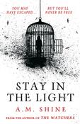 Stay in the Light by A.M. Shine image
