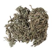 Lichen Moss (20g)