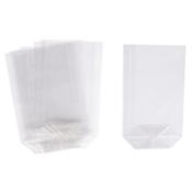 Clear Plastic Gift Bags (10pcs)