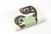 Correspondence Set: Wonders of Nature