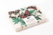 Correspondence Set: Natural History