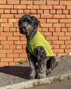 Yarn Vibes 100% Organic Irish Knitting Kit: Madra Dog Jacket image