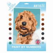 Paint by Numbers - Playful Labradoodle image