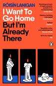 I Want To Go Home But I'm Already There by Roisin Lanigan image