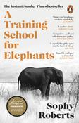A Training School for Elephants by Sophy Roberts image