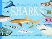 Wonders of the Wild: Sharks by Dr Charlotte Birkmanis