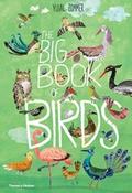 The Big Book of Birds by Yuval Zommer image