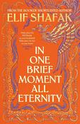 In One Brief Moment All Eternity by Elif Shafak