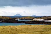 Special Offer - Skelligs from Derrynane Bay