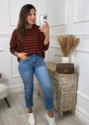 Viola Brown and Rust Striped Top image