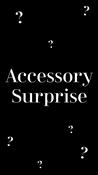 ACCESSORY SURPRISE