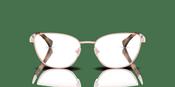 Ralph by Ralph Lauren RA 6046 Glasses image