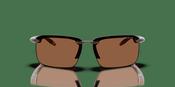 Arnette AN 4383 Sunglasses