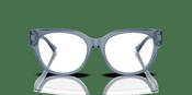Jimmy Choo JC3035 Glasses
