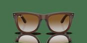 Ray-Ban Wayfarer Reverse RBR 0502S Sunglasses