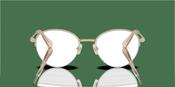 Swarovski SK 1004 Glasses